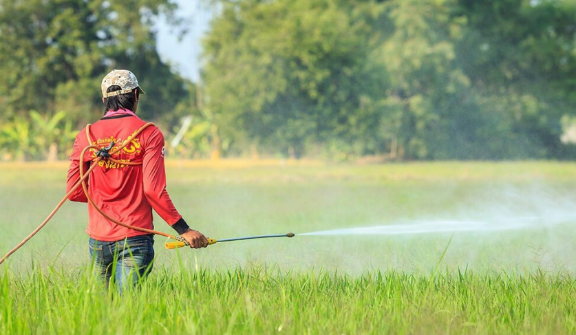 chatgpt image mar 11, 2026, 10 47 01 am