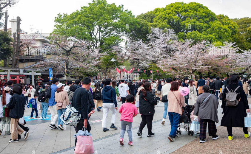 chatgpt image mar 11, 2026, 10 47 01 am