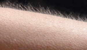 screenshot 2026 04 09 122313