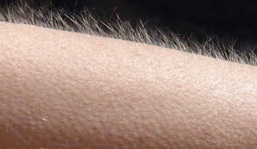 screenshot 2026 04 09 122313