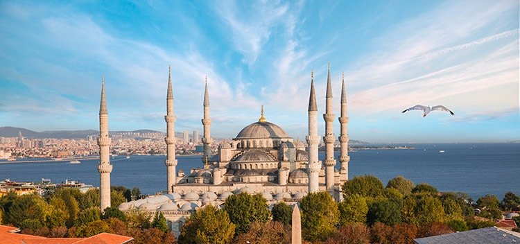 blue mosque aerial